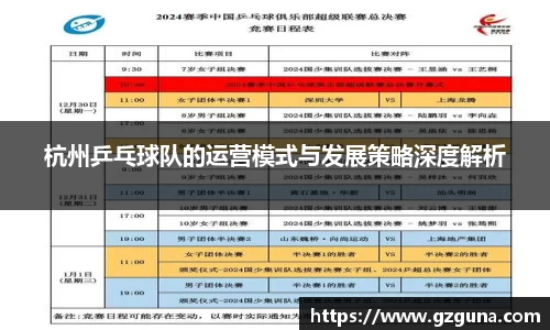 杭州乒乓球队的运营模式与发展策略深度解析